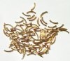 100 8x1.5mm Gold Plated Curved Tube Metal Beads